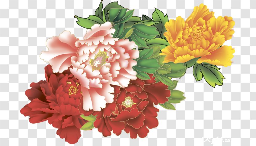 Moutan Peony Flower 中国国花 Clip Art - Gerbera - Bouquet Transparent PNG