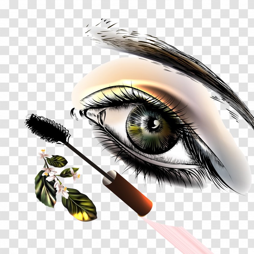 Eyebrow Euclidean Vector - Cosmetics - Hand-painted Eyes Material Transparent PNG