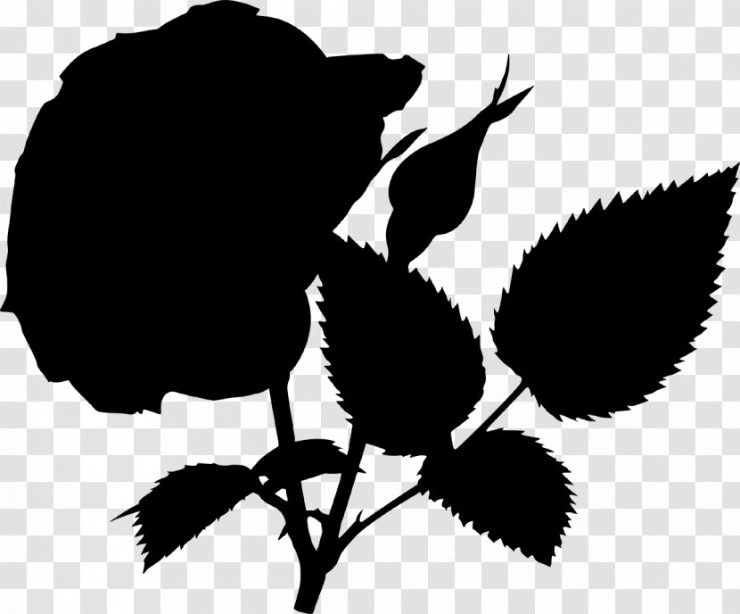 Essential Oil Extract Rose - Plant Transparent PNG