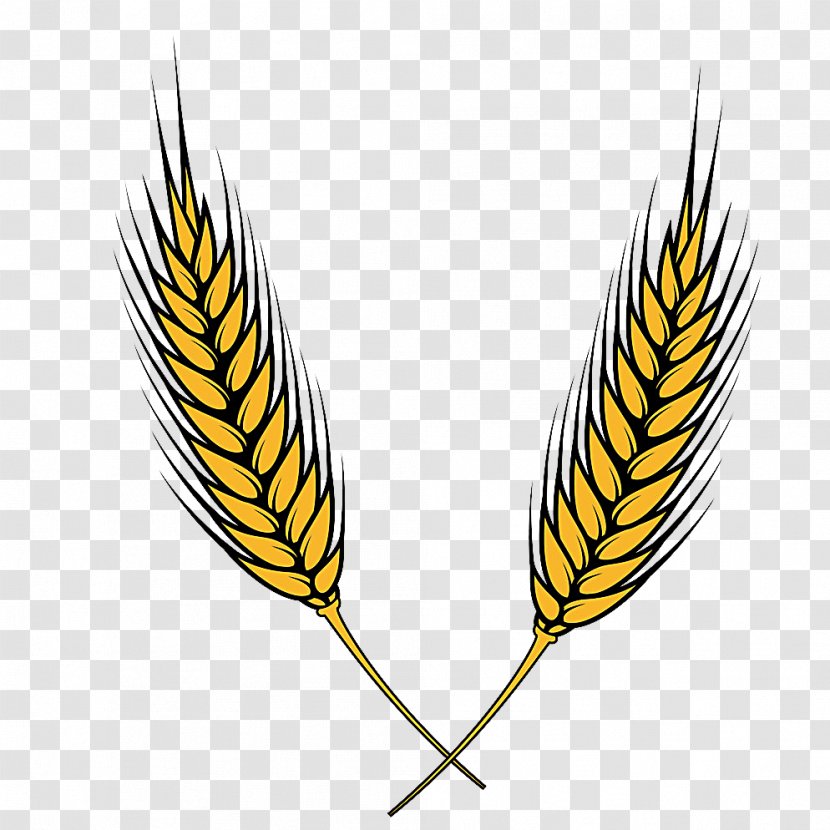 Wheat Ear Clip Art - Plant Transparent PNG