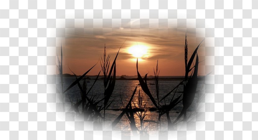 Sunset Sunrise Astre Desktop Wallpaper Reed - Blaise Pascal - Morning Transparent PNG