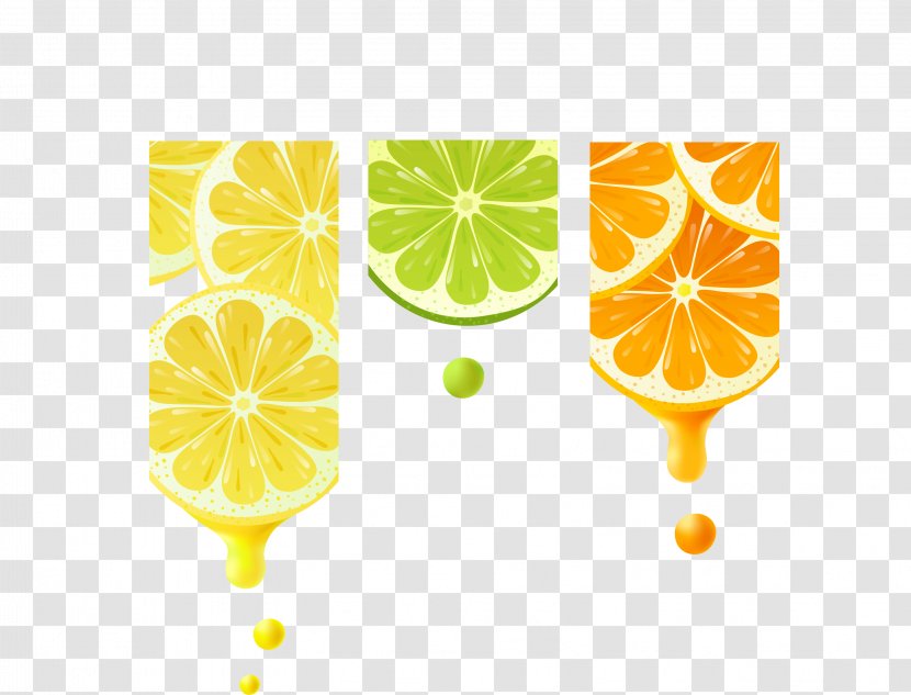 Lemon-lime Drink Orange Juice Lemon - Citrus - Dynamic Splash Of Transparent PNG