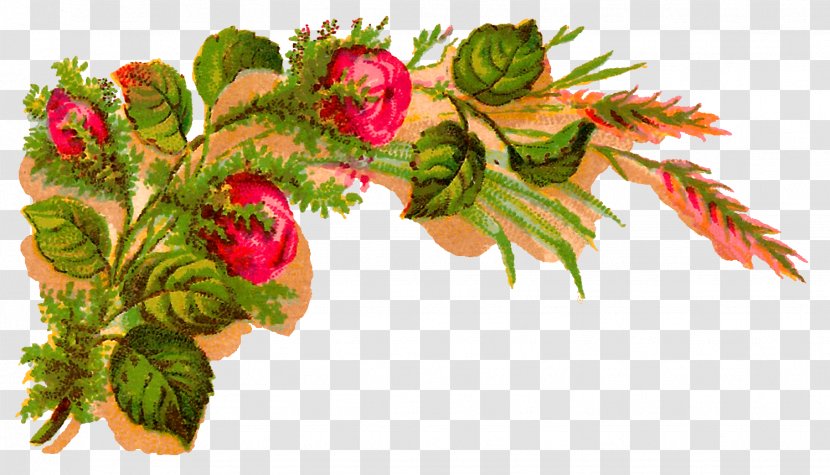 Flower Rose Clip Art - Floral Design - Red Decorative Transparent PNG