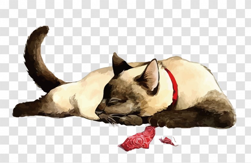 Siamese Cat Kitten Tiger Drawing - Vector Transparent PNG
