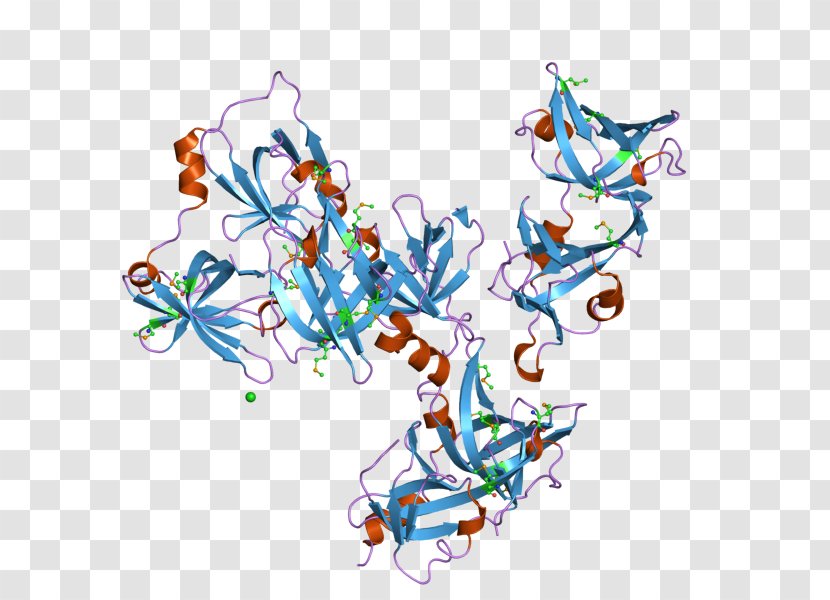 Interferon IFI16 Structural Classification Of Proteins Database CATH - Heart - Watercolor Transparent PNG