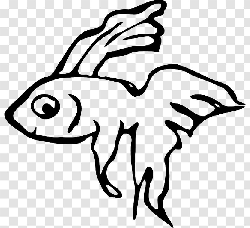 Siamese Fighting Fish Koi Veiltail Drawing - Wing Transparent PNG