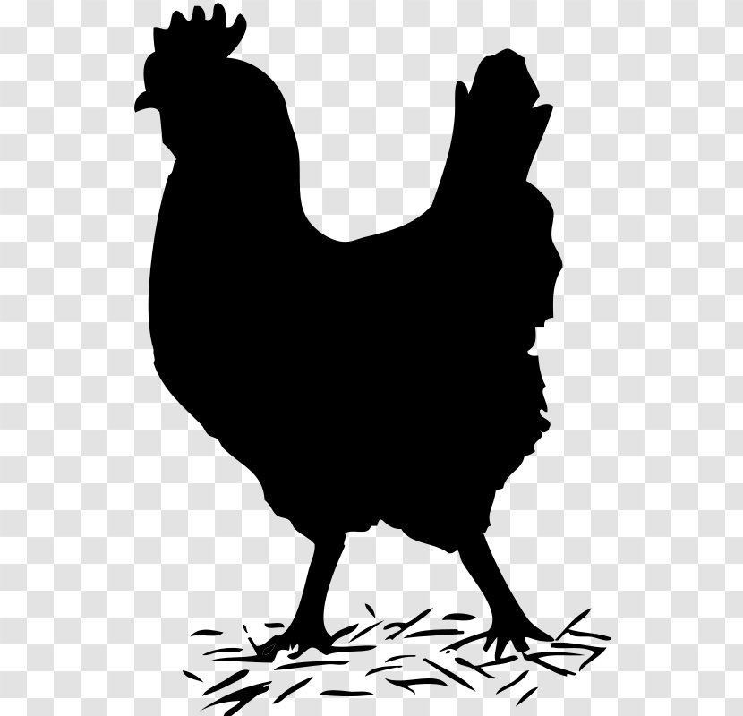 Cochin Chicken Silkie Solid Black Clip Art - Fauna - Vector Transparent PNG