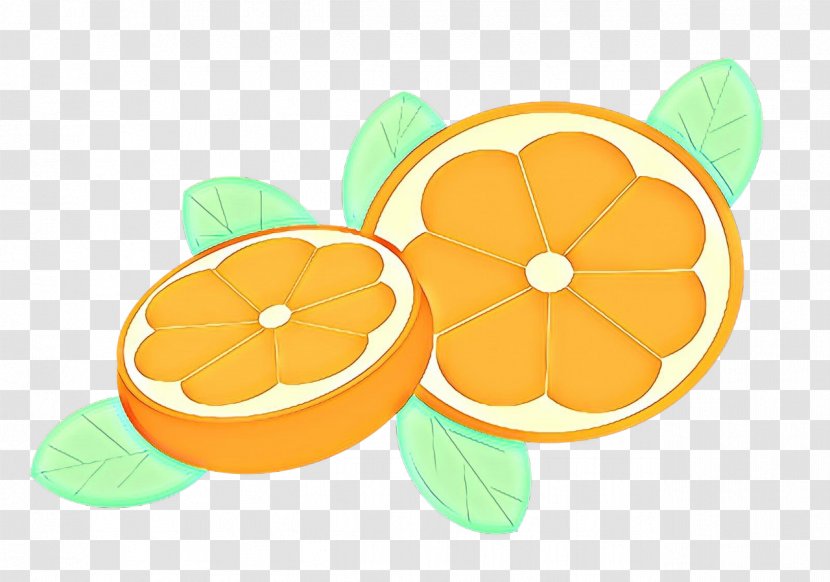 Fruit Cartoon - Mandarin Orange Plant Transparent PNG