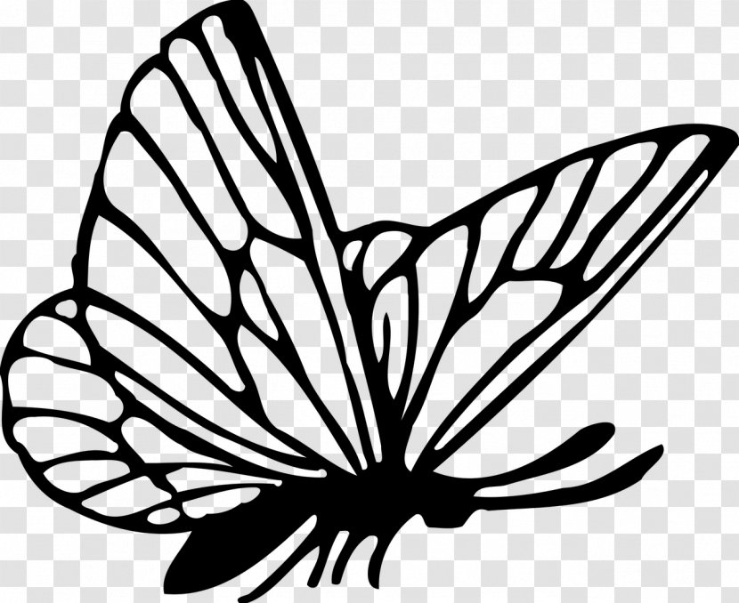 Butterfly Drawing Clip Art - Flower Transparent PNG