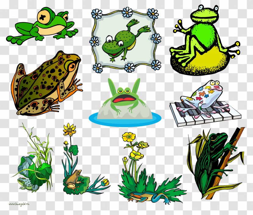 Toad Tree Frog True Clip Art - Fauna - Sweet Cliparts Transparent PNG