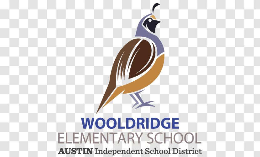 Wooldridge Elementary School Independent District Education Transparent PNG
