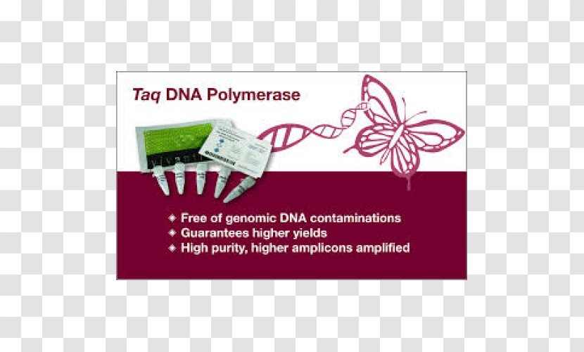 Taq Polymerase DNA Nucleic Acid - Enzyme Transparent PNG