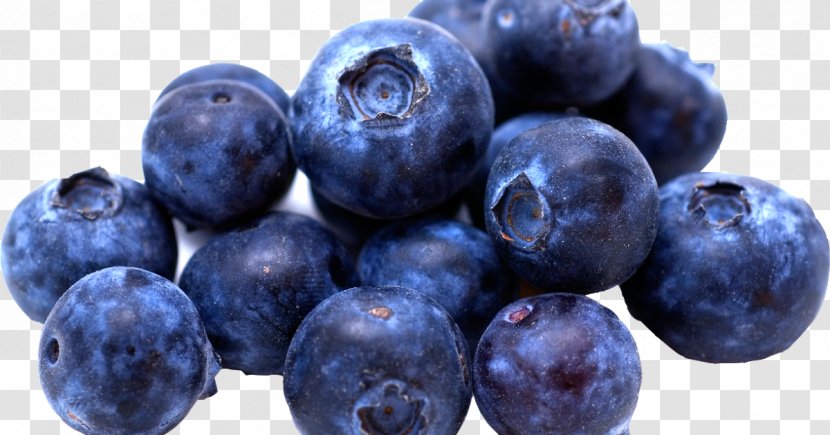 Blueberry Fruit Cheesecake Flavor - Superfood Transparent PNG