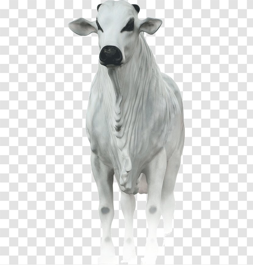Dairy Cattle Masterboi - Animal Transparent PNG