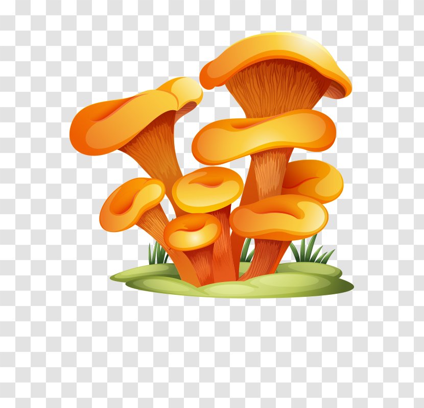 Glomeromycota Mushroom Clip Art - Food - Mushroom,fungus Transparent PNG