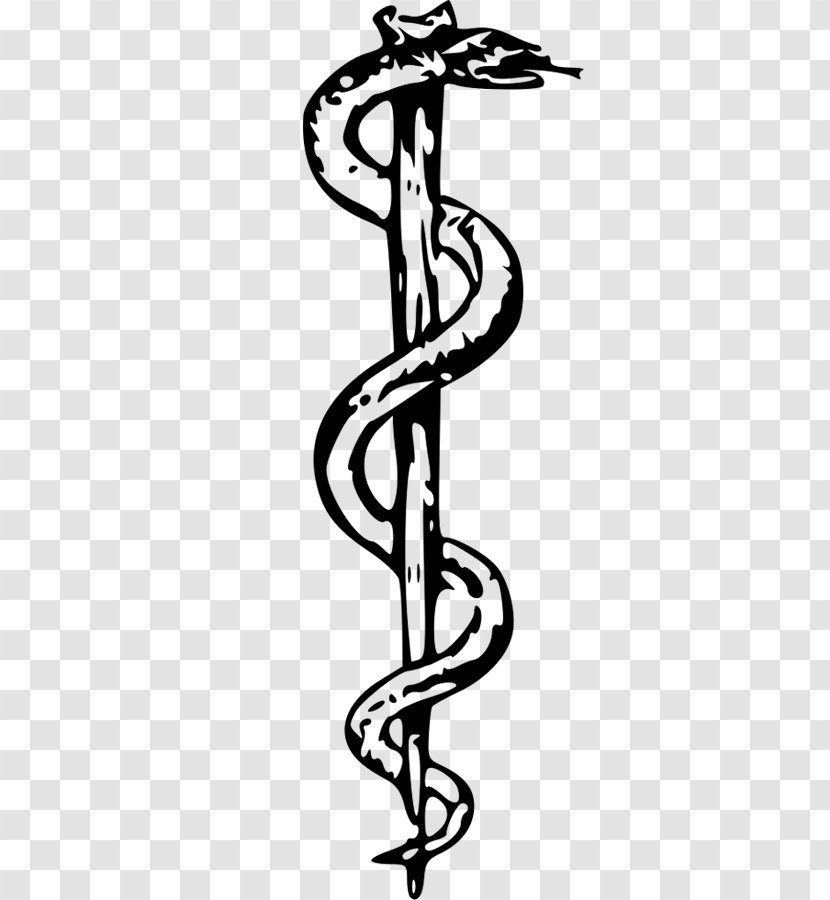 Rod Of Asclepius Medicine Staff Hermes Apollo - History - Symbol Transparent PNG