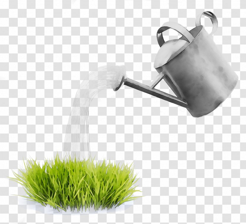 Image Stock Photography Illustration Royalty-free - Royaltyfree - Lawn Transparent PNG