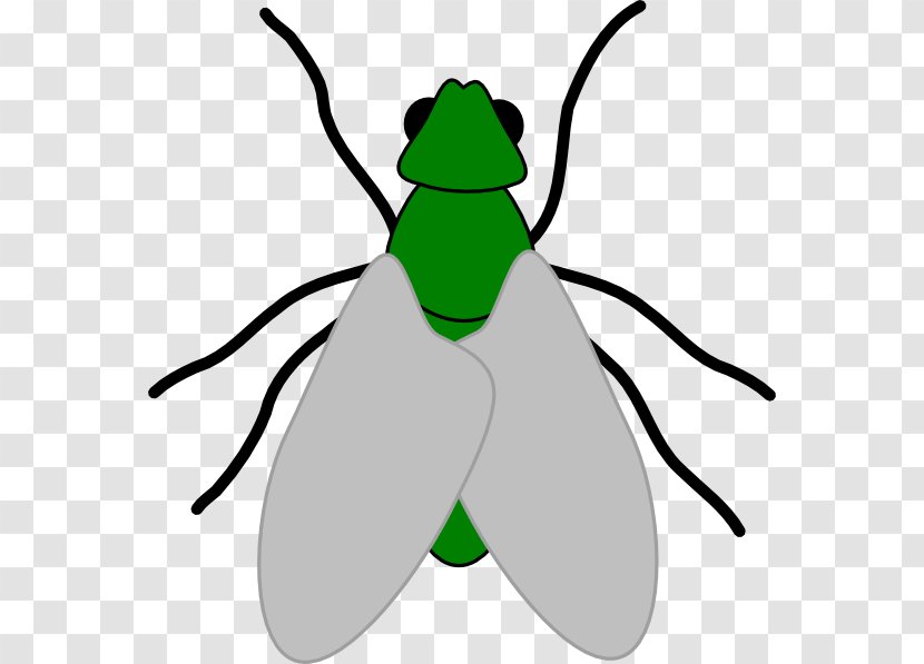 Clip Art - Green - Fly Transparent PNG