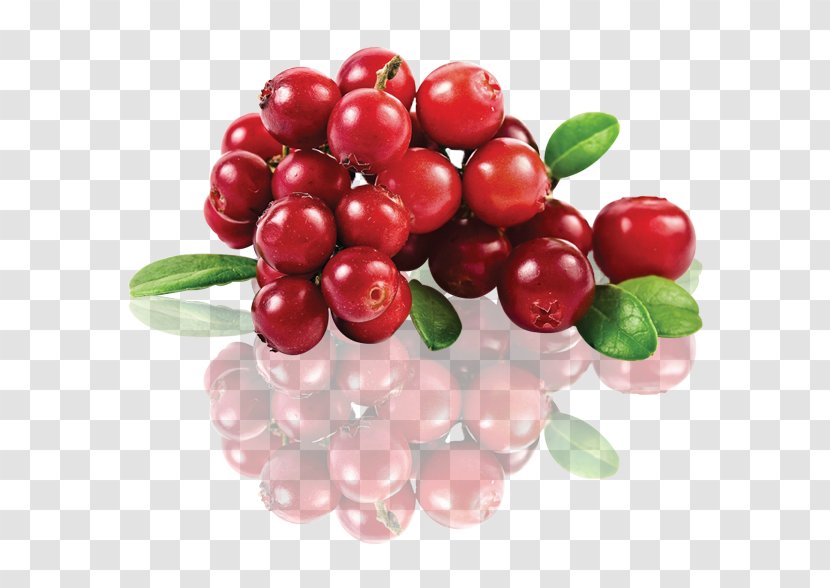 Berries Juice Lingonberry Extract Cranberry - Flowering Plant - Cranberries Frame Transparent PNG