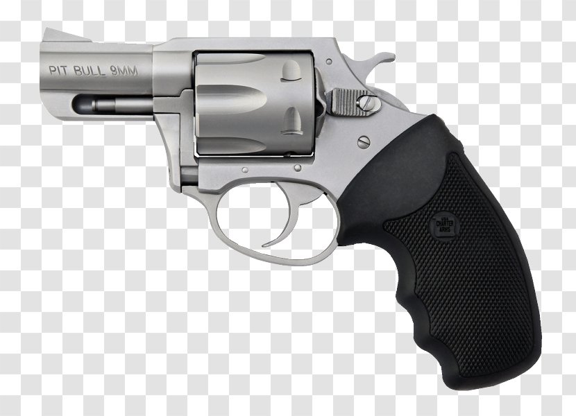 .357 Magnum Charter Arms Firearm Revolver Cartuccia - Air Gun - Weapon Transparent PNG