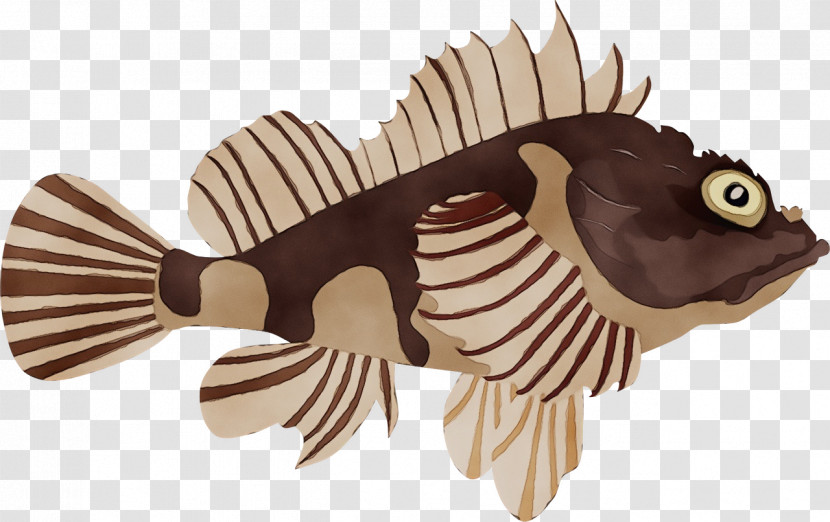 Fish Biology Science Transparent PNG