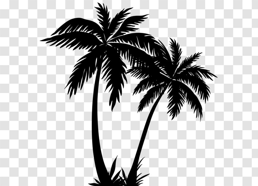 Arecaceae Silhouette Clip Art - Date Palm Transparent PNG