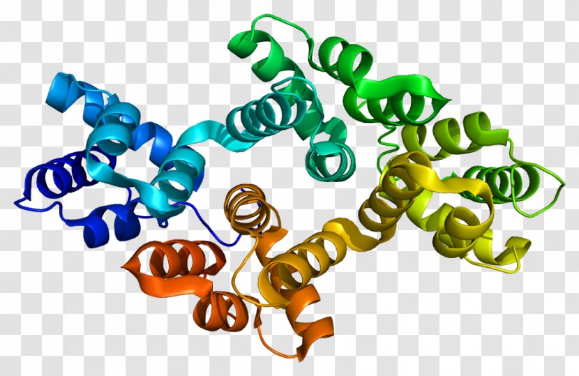 Annexin A2 A3 Phospholipase A5 - Heart - Tree Transparent PNG