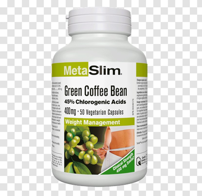 Green Tea Dietary Supplement Garcinia Cambogia Coffee Extract - Herbal - Bean Transparent PNG