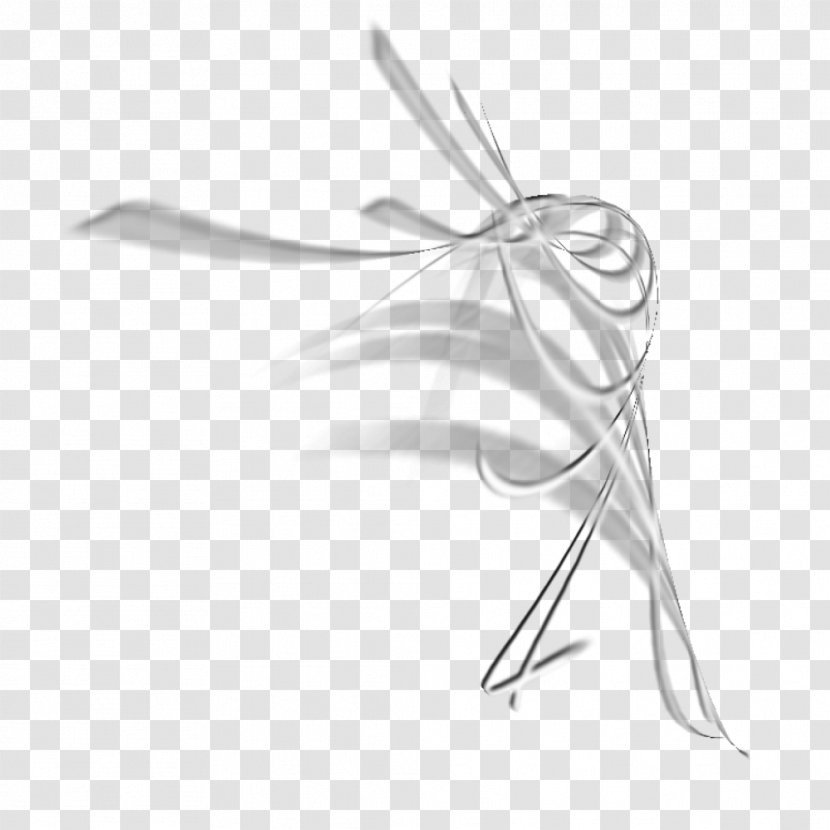 Insect White Line Art - Monochrome - Ps Heart Brush Transparent PNG