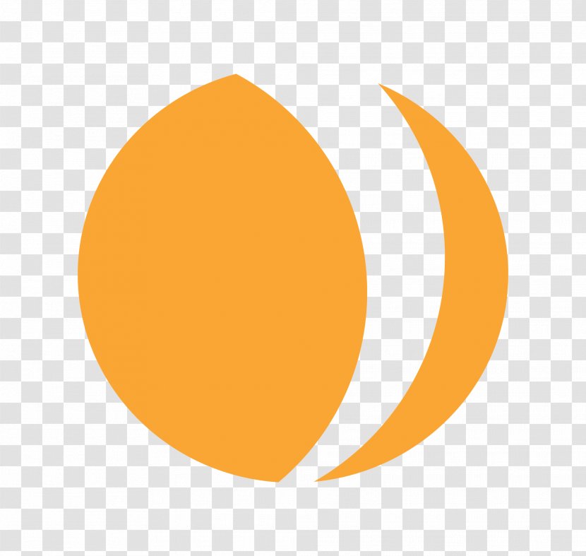 Logo Graphic Design Brand Font - Appricot Transparent PNG