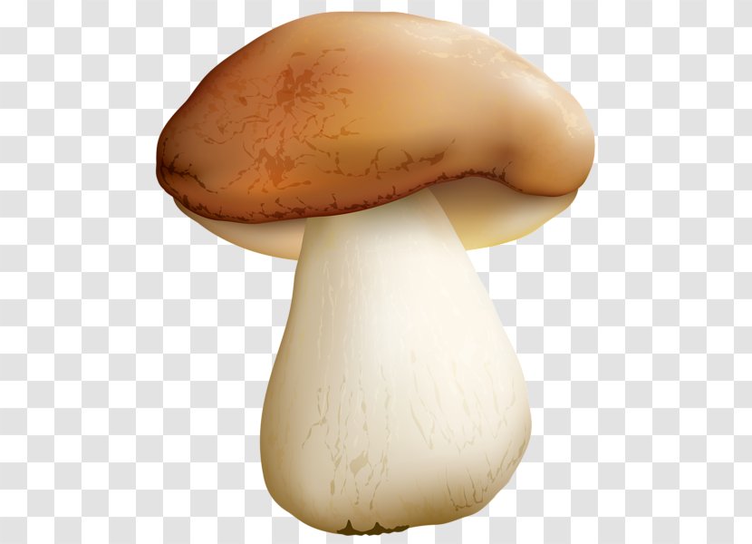 Edible Mushroom Food Common Transparent PNG