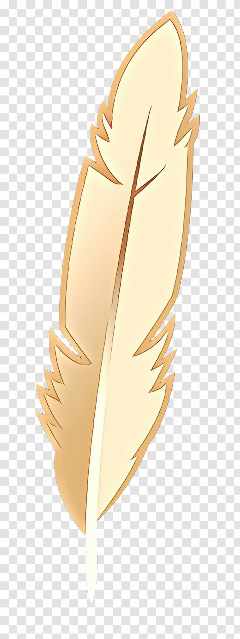 Feather Transparent PNG