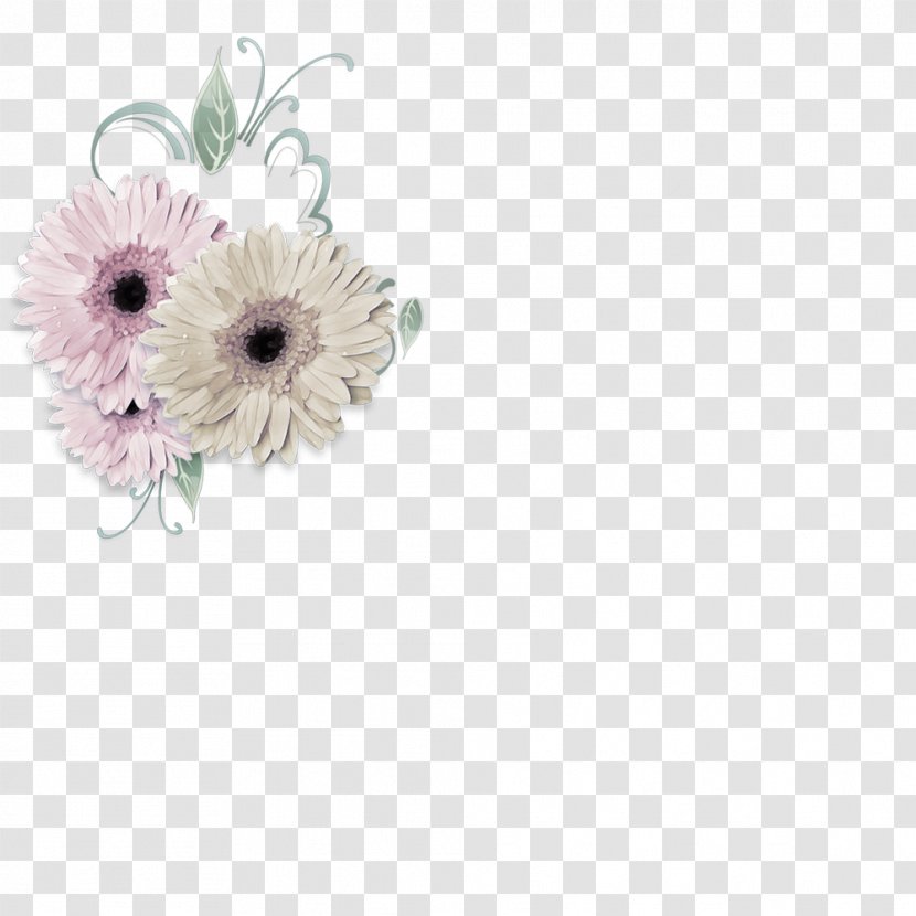 Transvaal Daisy Floral Design Cut Flowers Flower Bouquet - Family - Psd Layered Material Transparent PNG