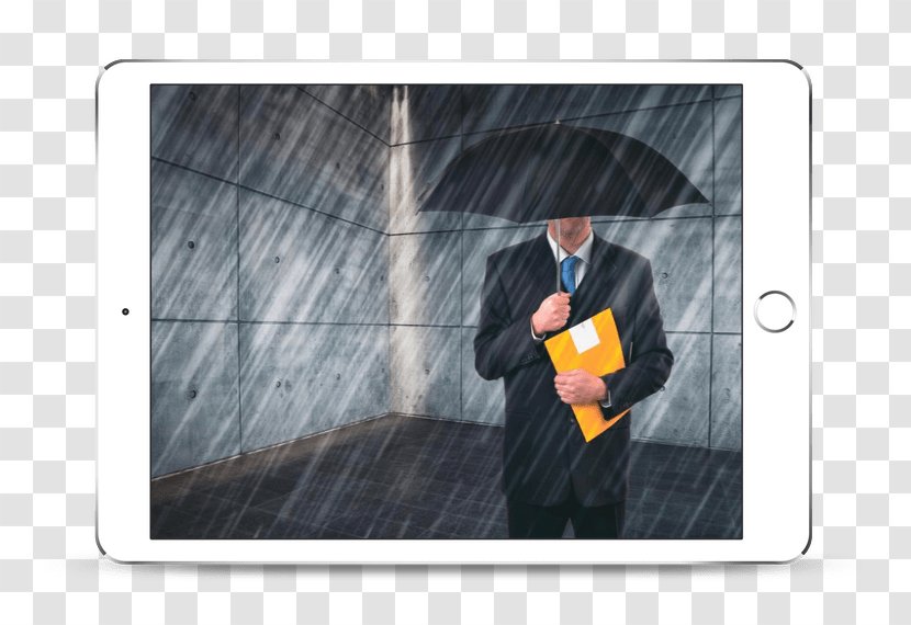 Risk Insurance Company Stock Photography ISO 31000 - Coconut Grove Transparent PNG
