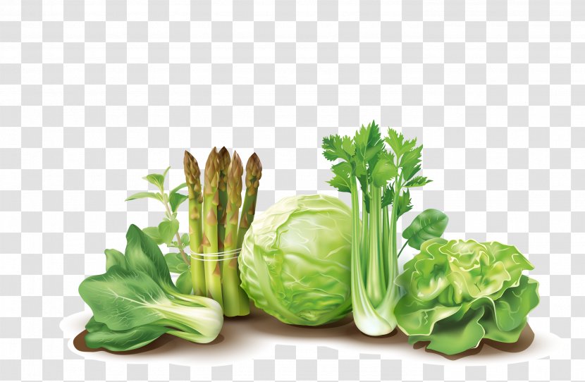 Leaf Vegetable Fruit Bioline Laboratory - Cruciferous Vegetables - Illustration Download Transparent PNG