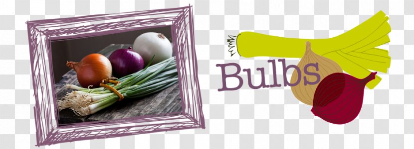 Vegetable Red Onion Bulb Garlic - Food Transparent PNG