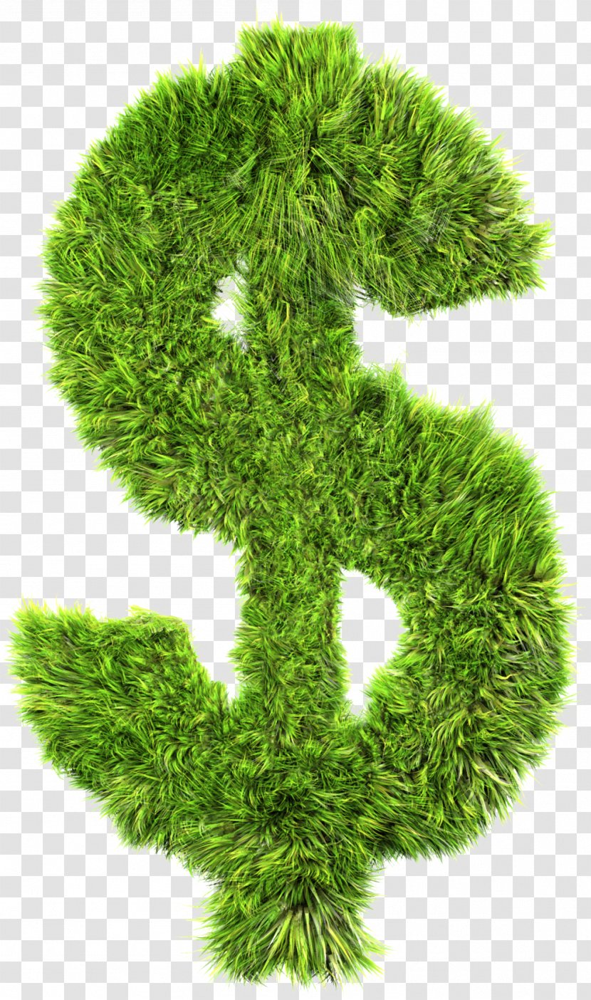 Dollar Sign Finance Money Business United States - Fur - Grassy Area Transparent PNG