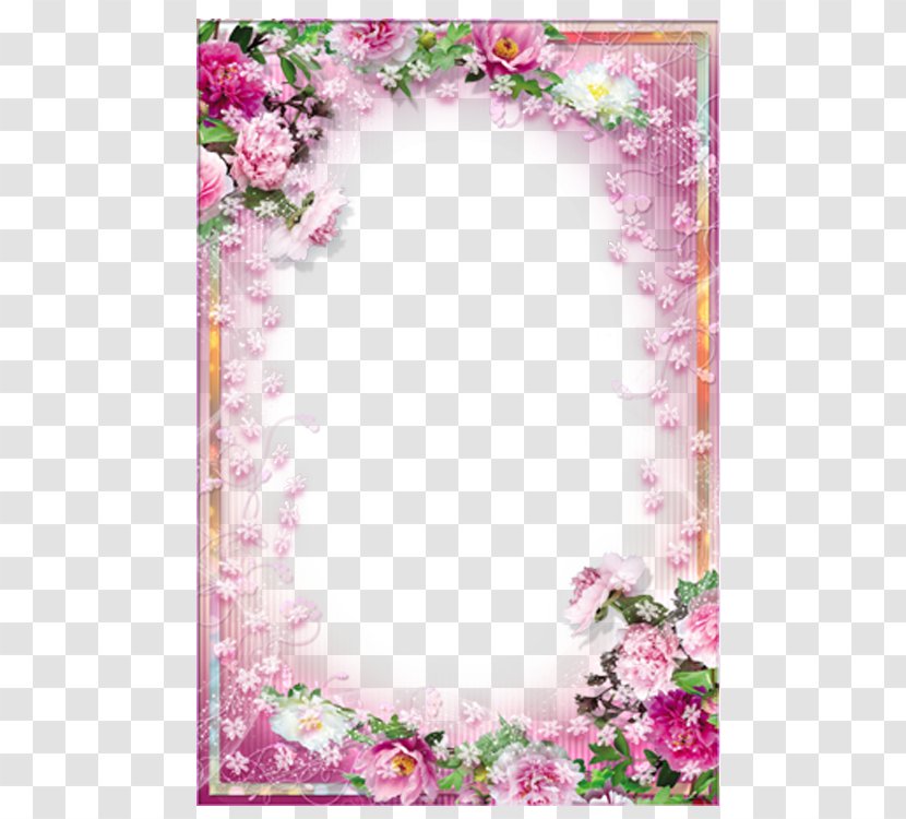 Picture Frame Pink Application Software Download - Petal - Warm Flowers Floral Transparent PNG