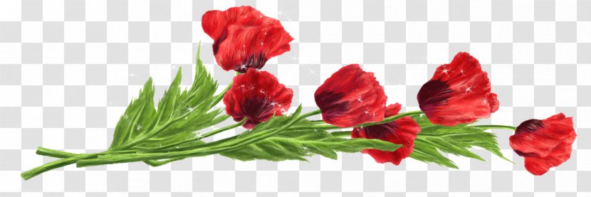 Flower Red Tulip Wallpaper - Computer - Flowers Transparent PNG