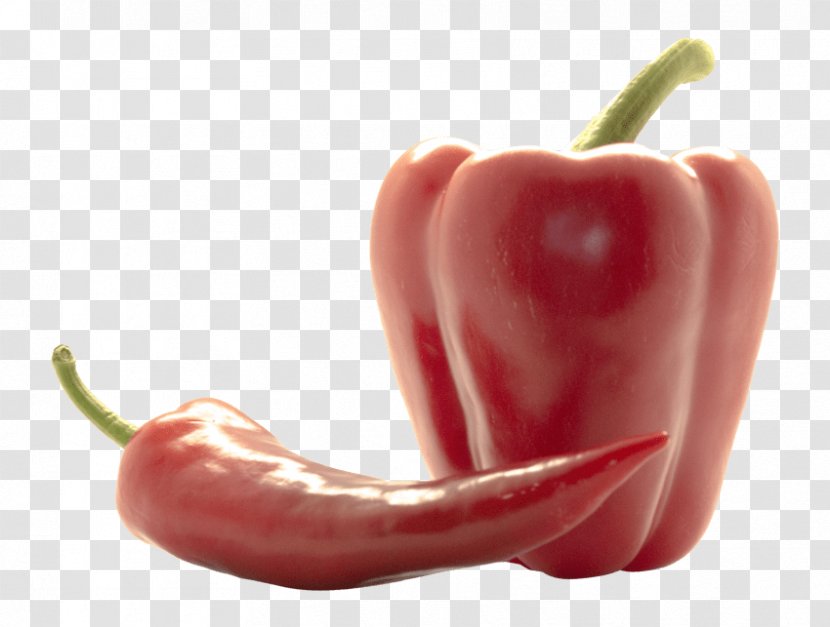 Habanero Serrano Pepper Bird's Eye Chili Tabasco Cayenne - Nightshade Family - Vegetable Transparent PNG