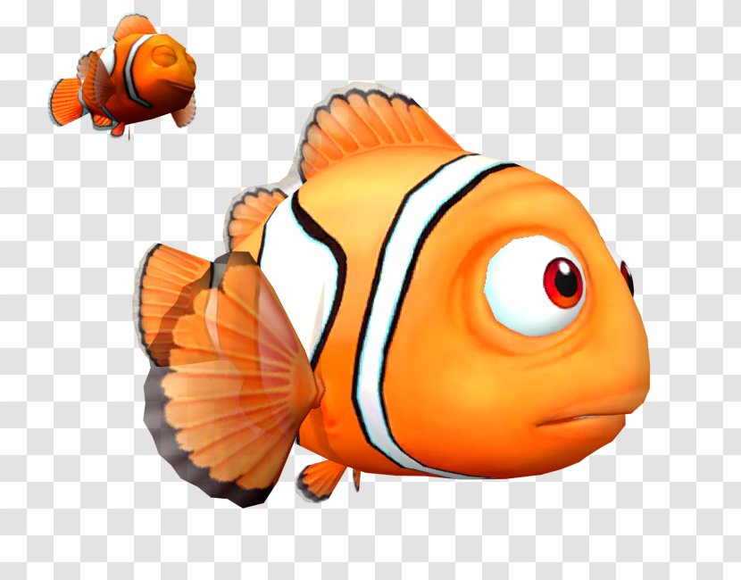 Clip Art Marine Biology Fish Orange S.A. Transparent PNG