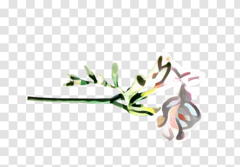 Flowers Background - Twig - Branch Transparent PNG