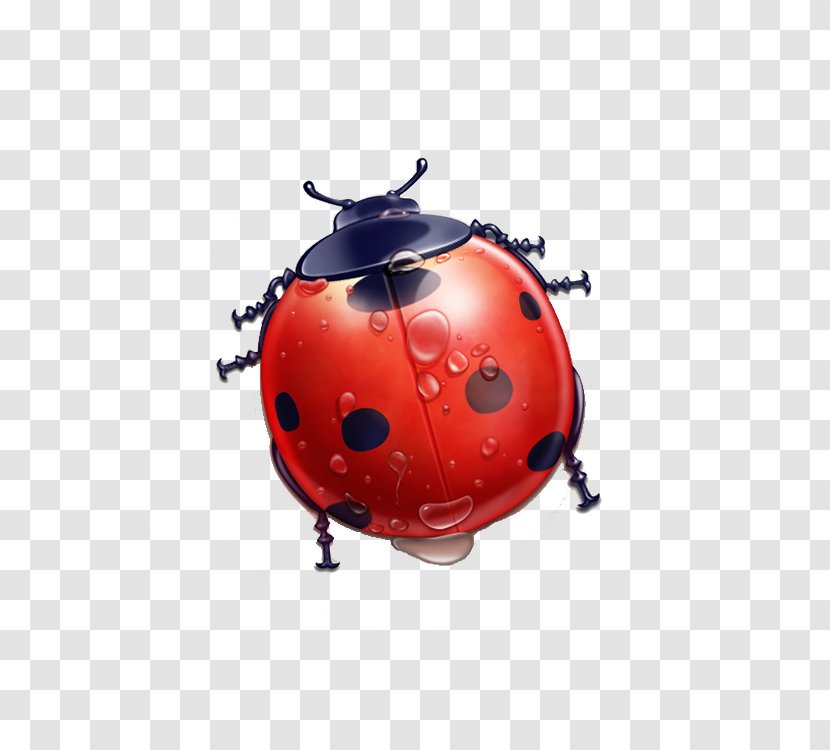 Cartoon Pixel Icon - Red - Ladybug Transparent PNG