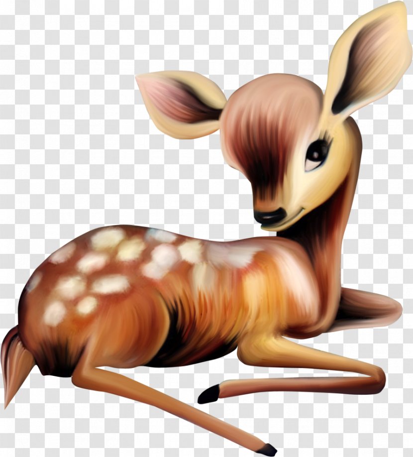 White-tailed Deer Mother Clip Art - Infant Transparent PNG