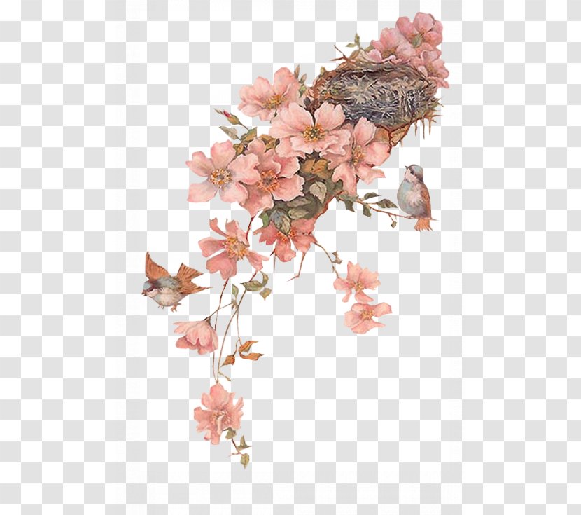 Drawing - Flower - Birds Transparent PNG