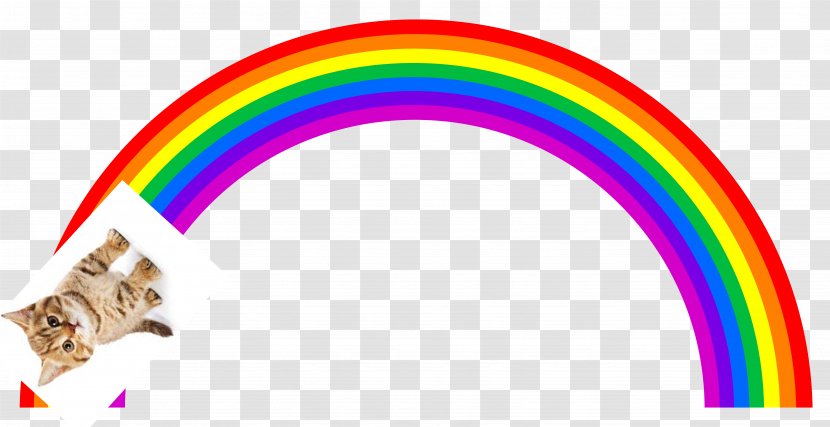 Royalty-free Rainbow Stock Photography - Royaltyfree Transparent PNG