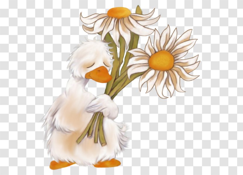 Prayer Get Well Thought Wish - Heart - Daisy Transparent PNG