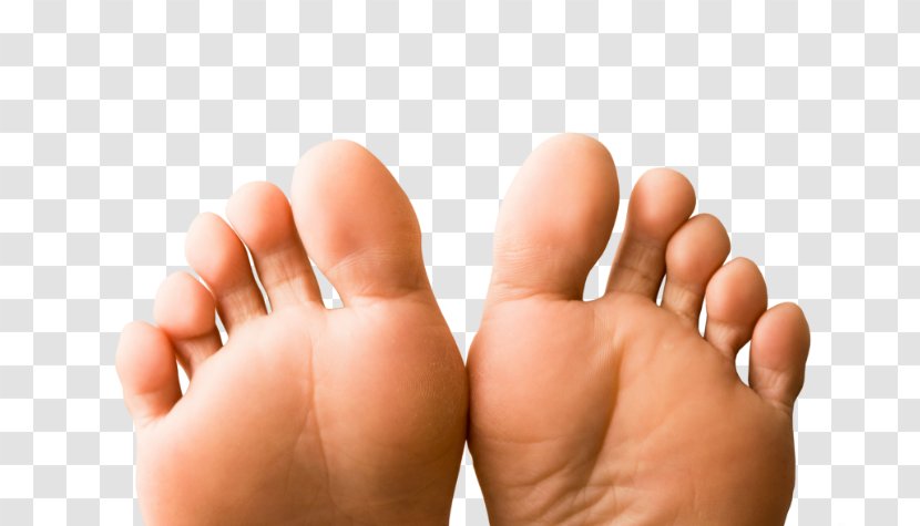 Podiatry Foot Toe Podiatrist Symptom - Tree - Health Transparent PNG