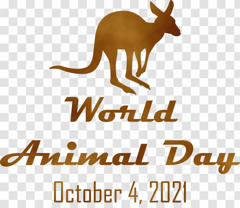 Macropods Cat-like Kangaroo Cat Dog Transparent PNG