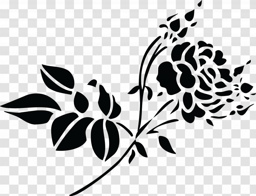 White Rose Clip Art - Flora Transparent PNG